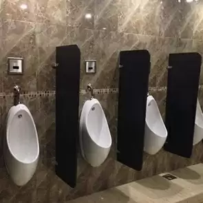 Urinal Partition