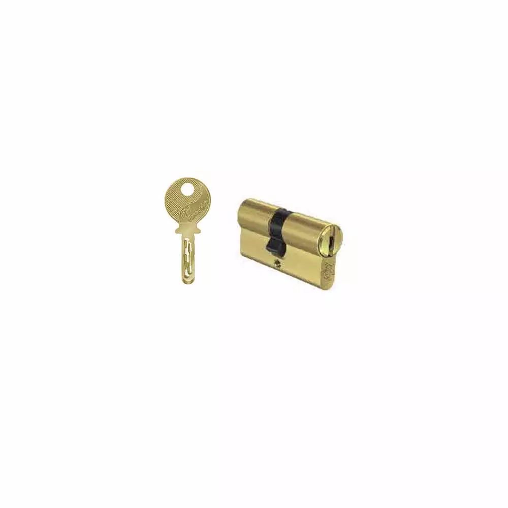 Godrej EXS HI-Security Cylinder - 60 mm EXS Cylinder 2C (Brass Finish)