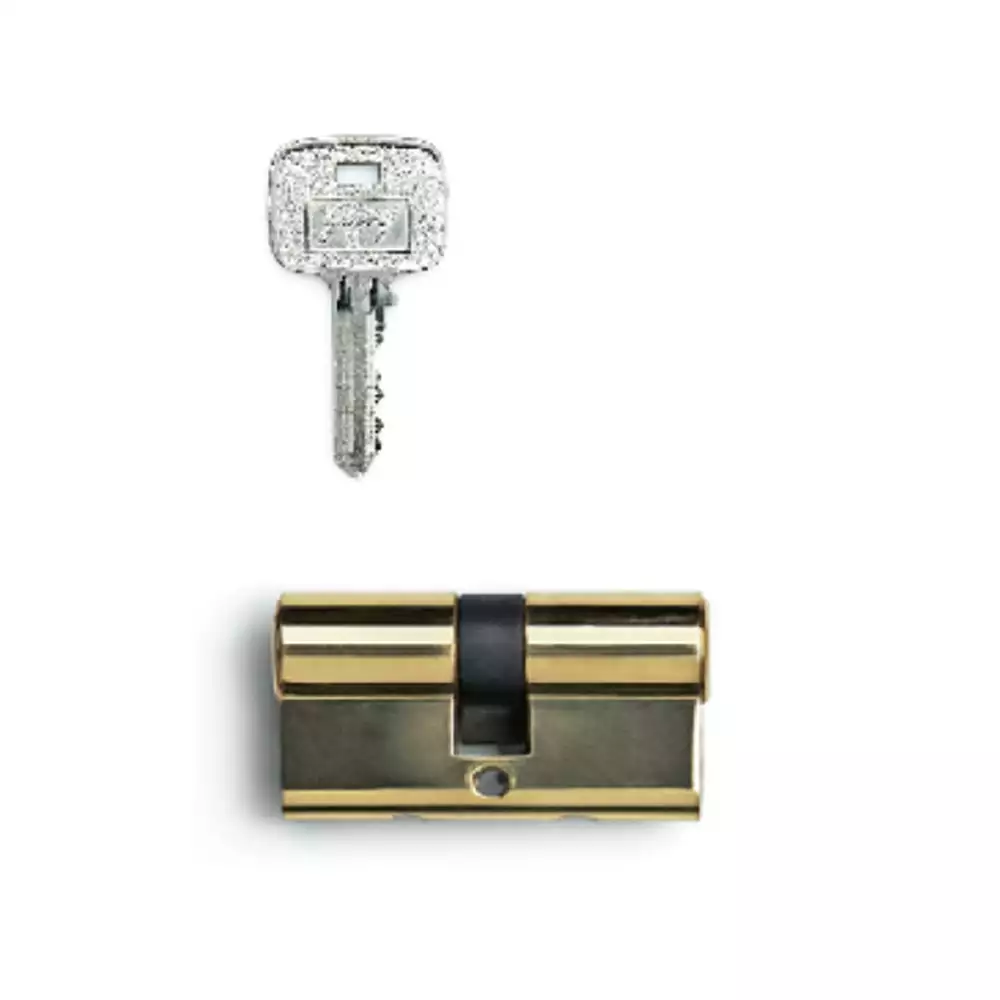 Godrej Europrofile Mortise Lock - 60 mm Pin Cylinder 2C (Brass Finish)