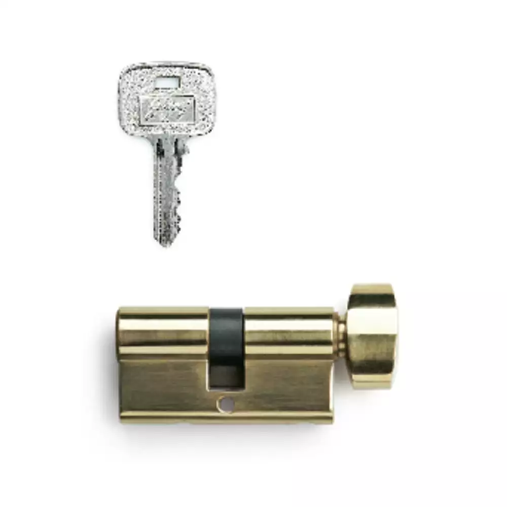 Godrej Europrofile Mortise Lock - 60 mm Pin Cylinder 1CK (Brass Finish)