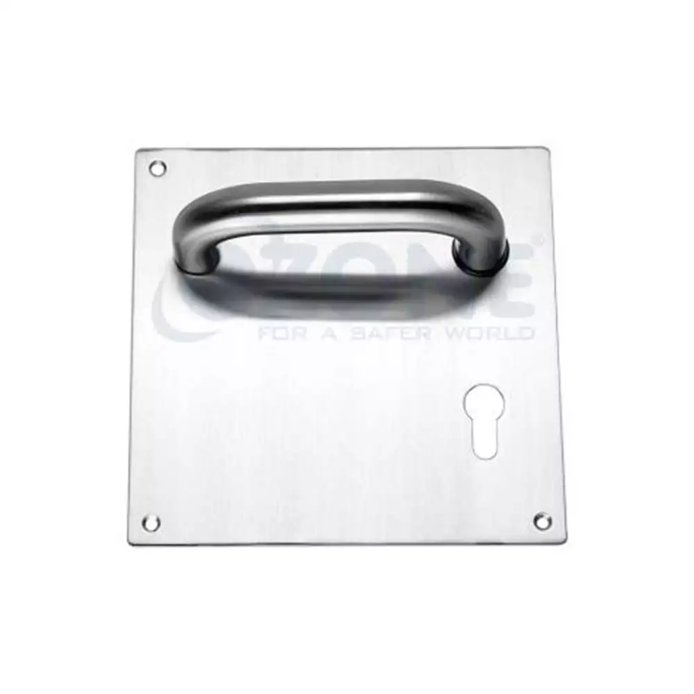 Ozone Inox Series D-Type Mortise handle with Plate - SSS