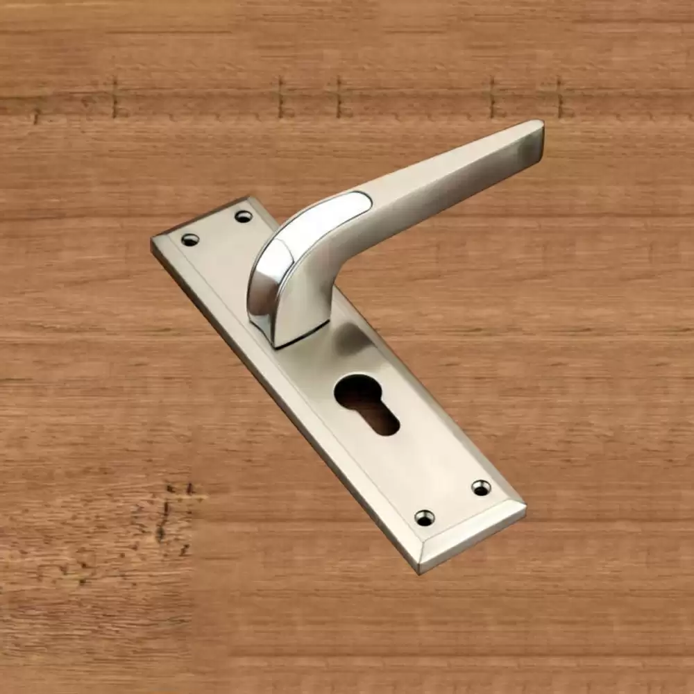 Alight Technocast SS, Brass Mortise Door Handle, Stainless Steel Chrome Plate - SM-2155