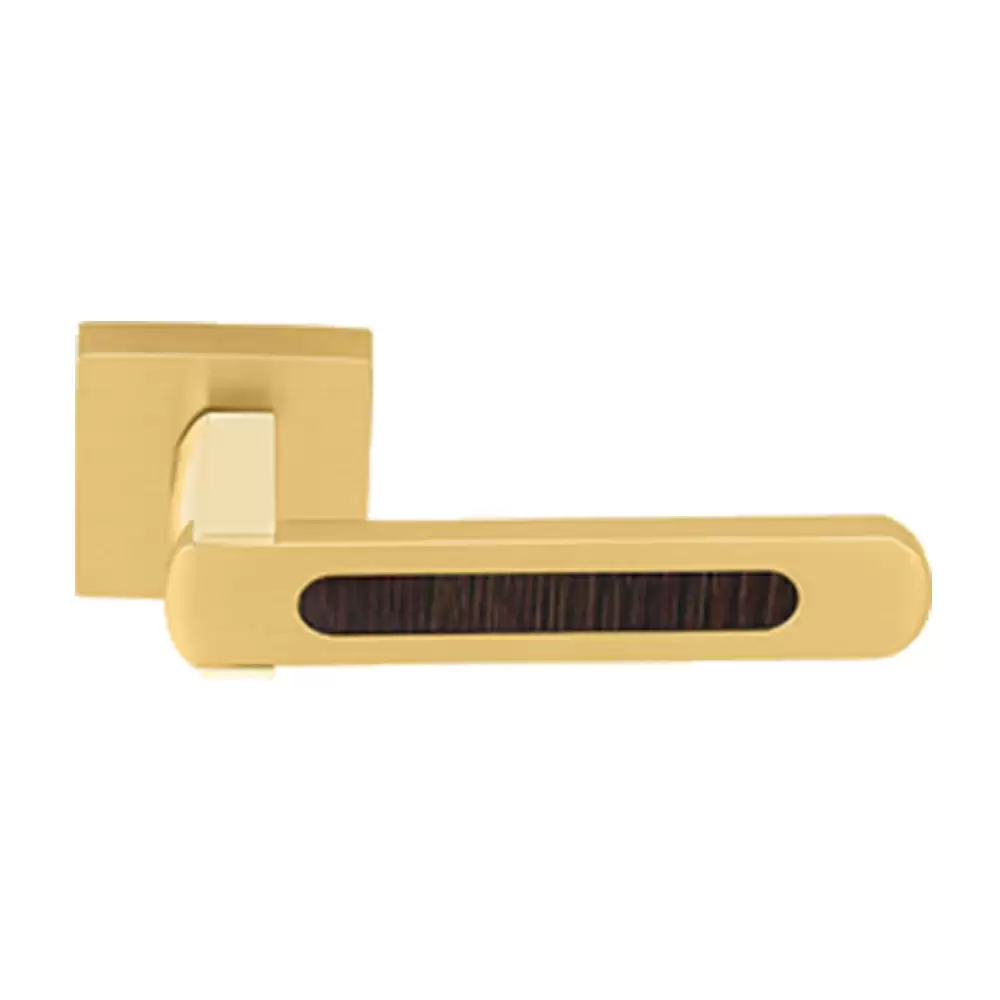 KBI Lenovo Brass Gold PVD Mortise Door Handle - (Gold PVD Finish)