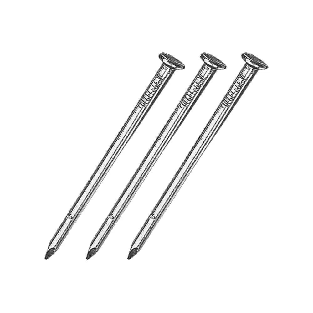 (Pack of 50) Suzu ST197 SS Round Head Nails 3/4 Inch Length - Stainless Finish (500 Gram)