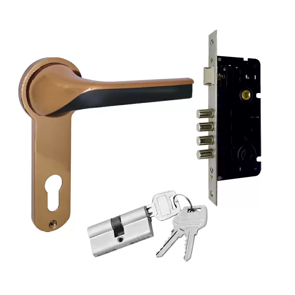 Suzu Omega 250 mm CY Door Handleset With Lock Body & 60 mm BSK Pin Cylinder (Entrance) - Black Rose Gold