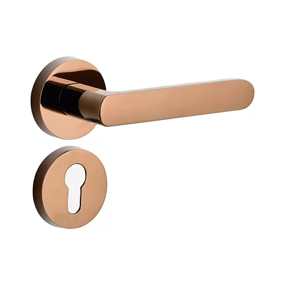 Dorset Farretto Cadila Mortise On Rose Door Handle - Hamilton Gold