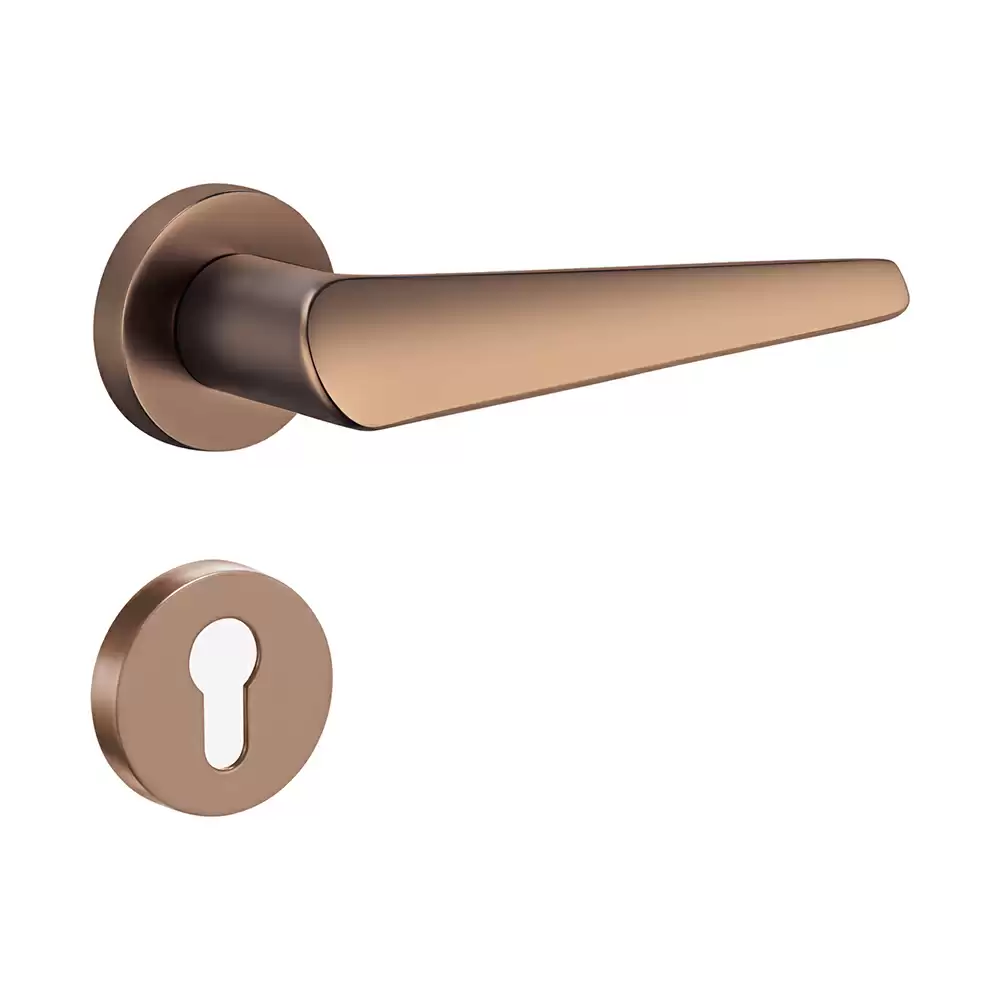 Dorset Farretto Celisa Mortise On Rose Door Handle - Ferro