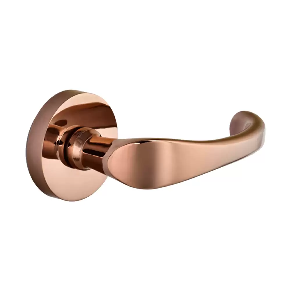 Dorset Farretto Dana Mortise On Rose Door Handle - Hamilton Gold