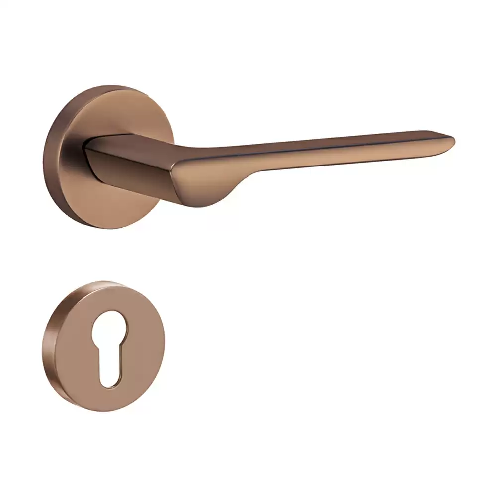 Dorset Farretto Drop Mortise On Rose Door Handle - Ferro