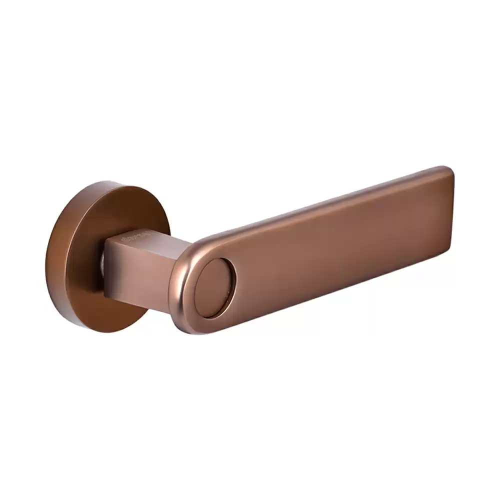 Dorset Abitare Globo Mortise on Rose Door Handle - Ferro