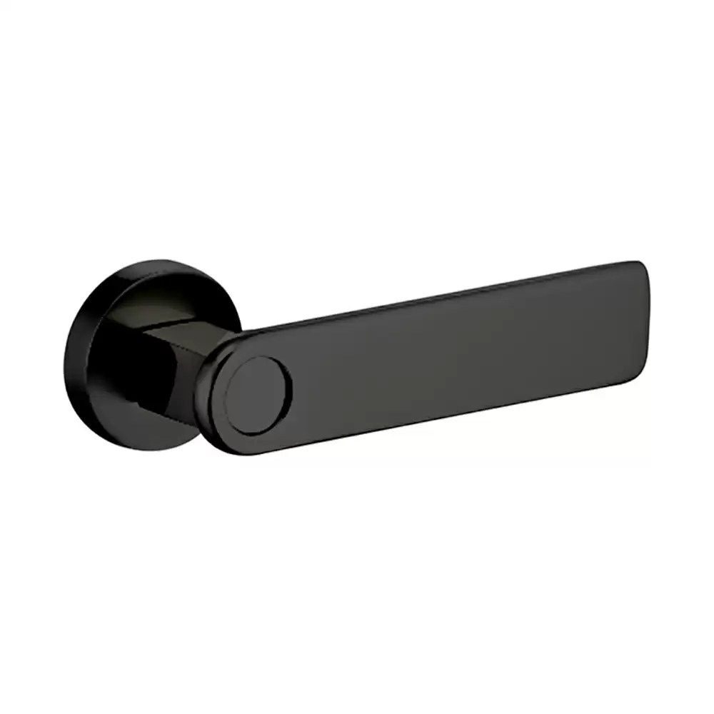 Dorset Abitare Globo Mortise on Rose Door Handle - Graphite Matt