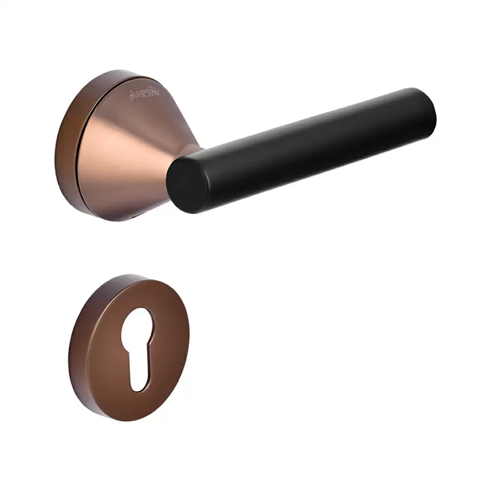 Dorset Farretto Konica Mortise On Rose Door Handle - Hamilton Gold/Ferro