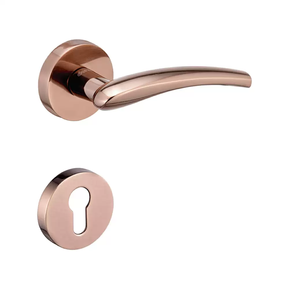 Dorset Farretto Option Mortise On Rose Door Handle - Hamilton Gold