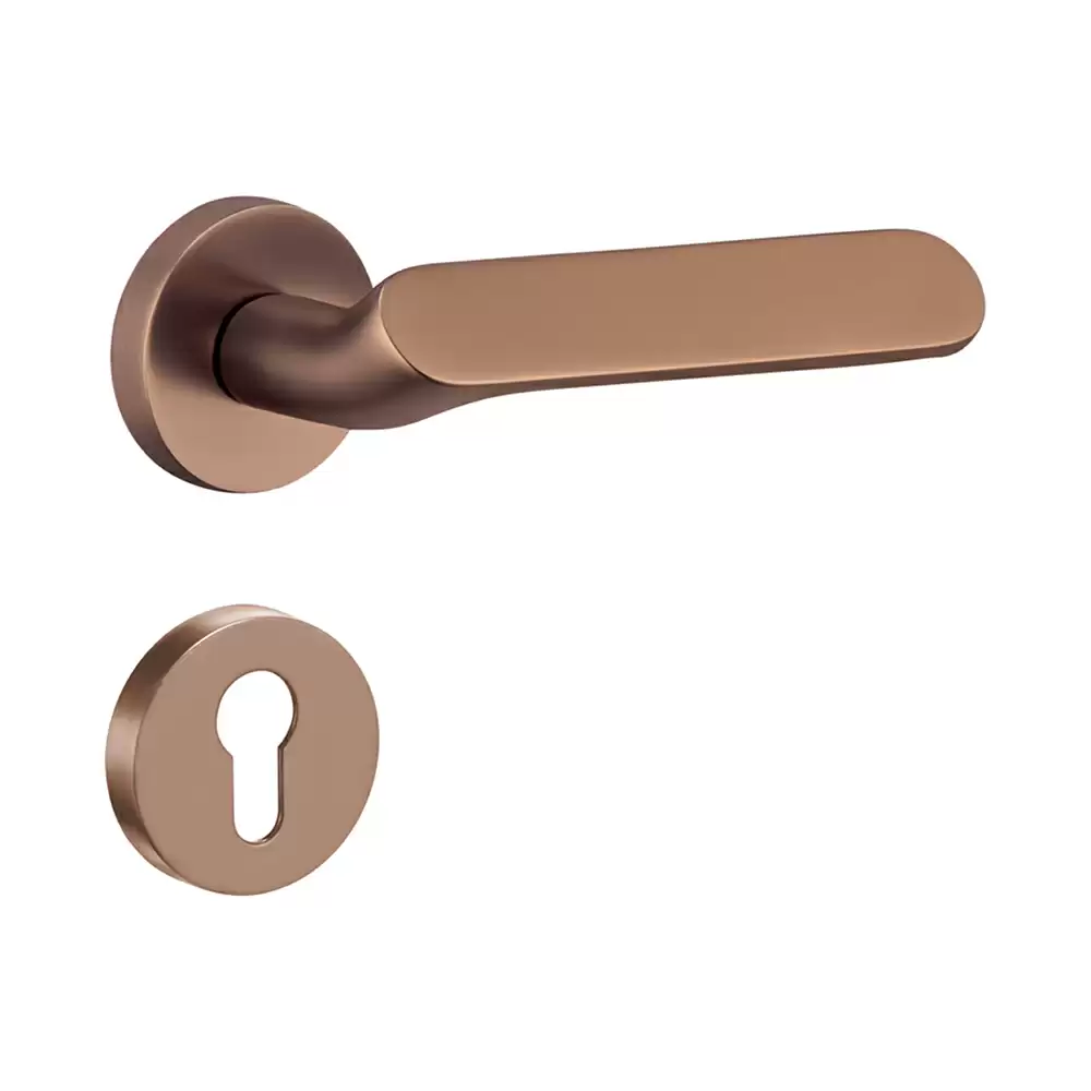 Dorset Farretto Reflex Mortise On Rose Door Handle - Ferro