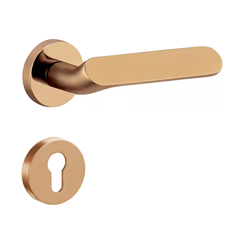 Dorset Farretto Reflex Mortise On Rose Door Handle - Hamilton Gold