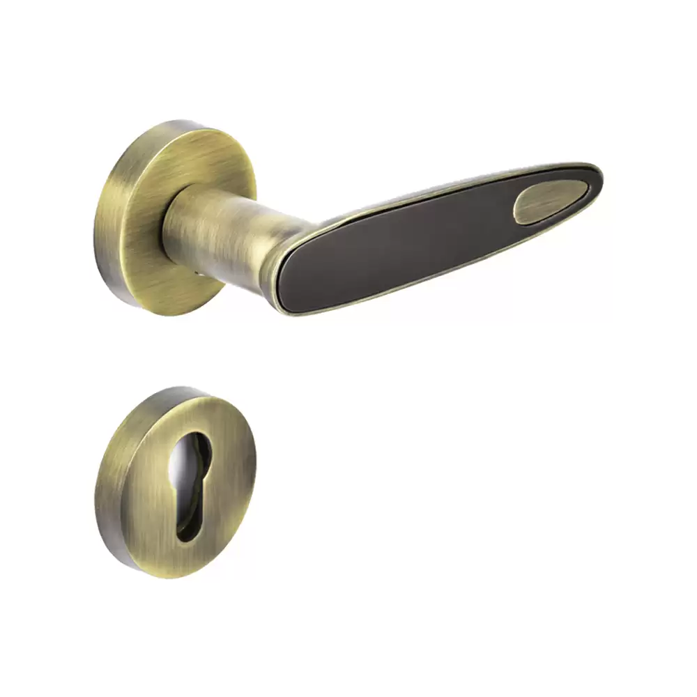 Dorset Premium Speera Mortise On Rose Door Handle - Antique/Titanium Matt