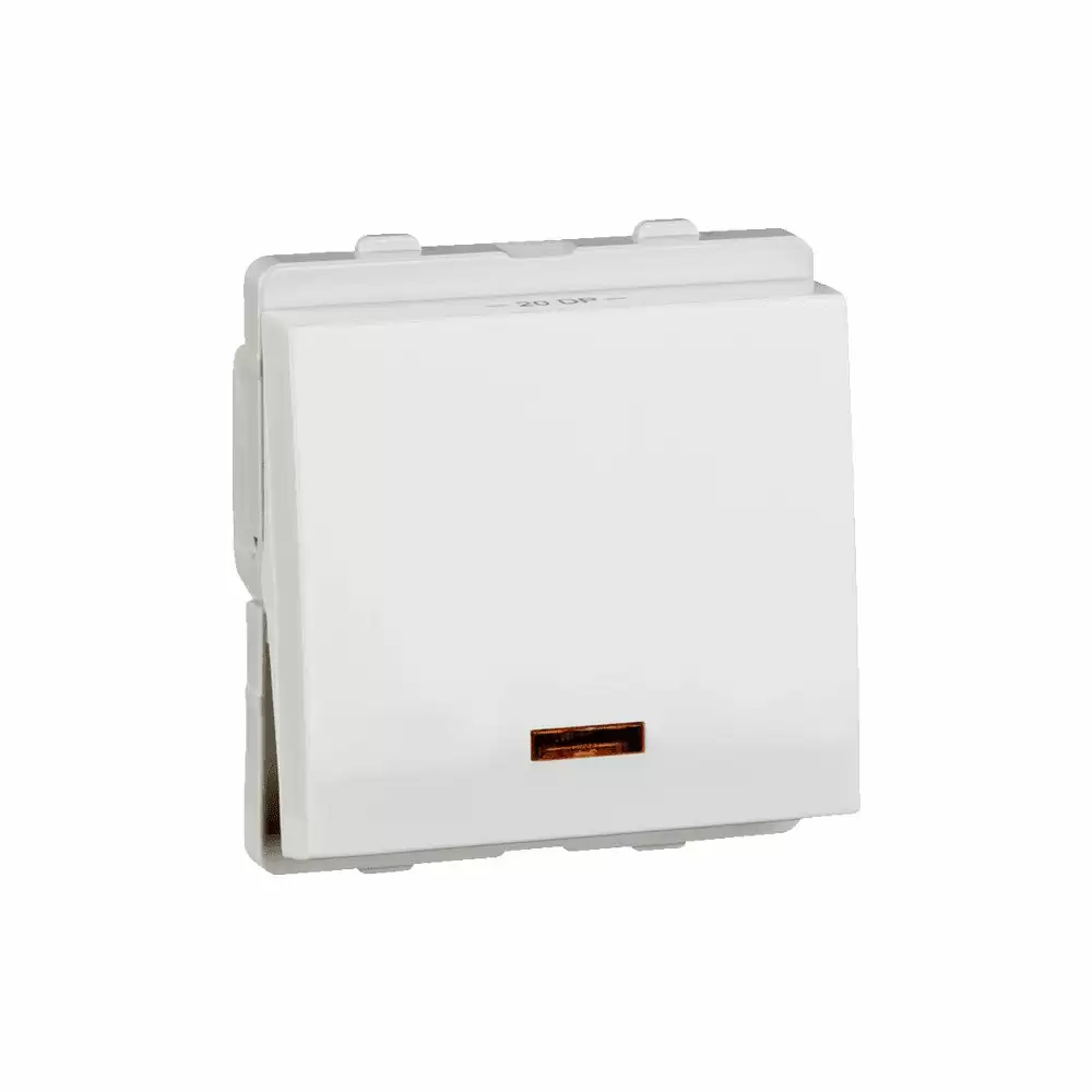 Schneider Electric Livia 20 Amp 2 Module Flush Mounted 1 Way Switch With Indicator - White