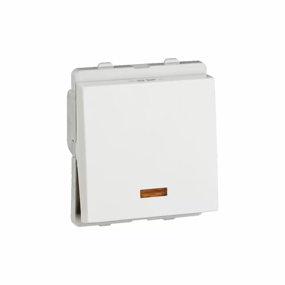 Schneider Electric Livia 32 Amp 2 Module Flush Mounted 1 Way Switch With Indicator - White