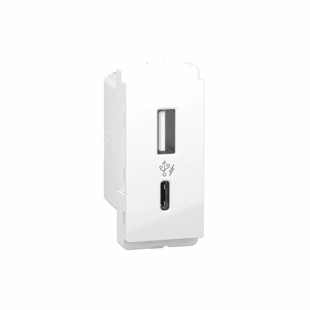 Schneider Electric Livia 2.4 Amp 1 Module 220-240V A+C Type USB Charger - White