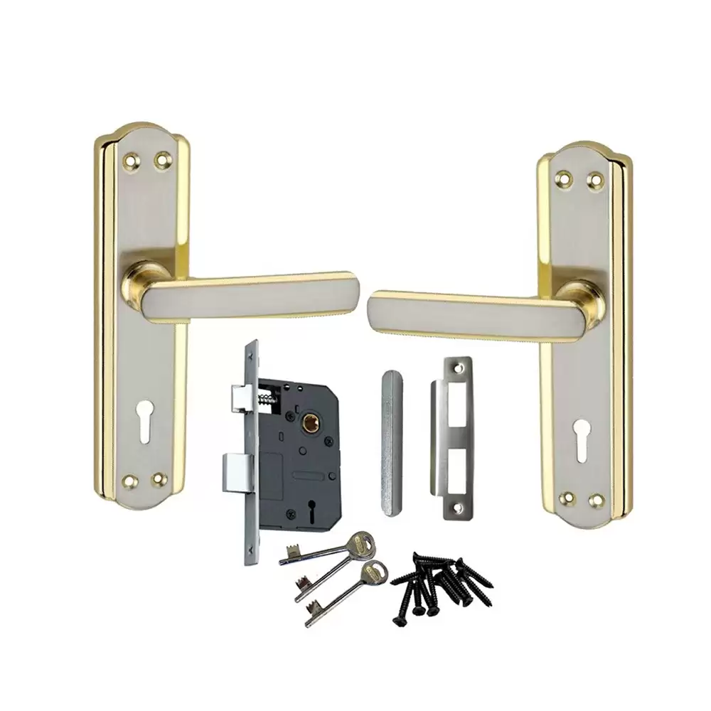 Atom Locks Legend-2 Mortise Door Handleset with Mortise Lock Atom 606 Silver Gold