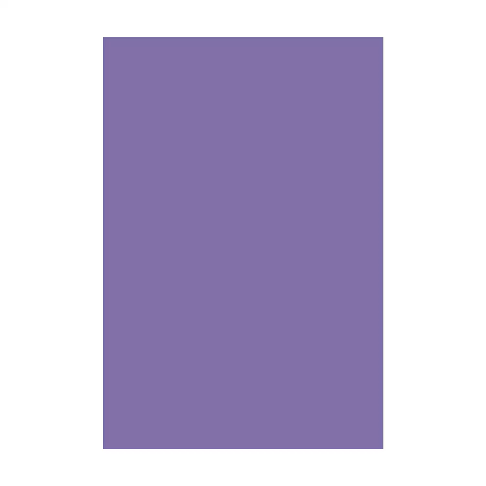 Century Prowud DIR OSL 9.75 mm Thick Pre Laminated MDF Board (8 L x 4 W) Feet - (Lavender, 261)