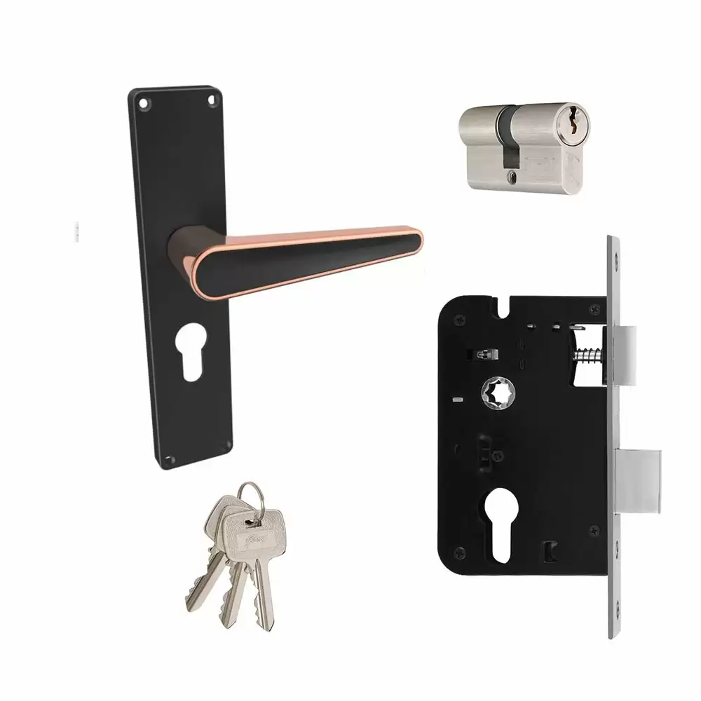 Godrej NEH 19 Matt Black Rose 10 Inch Both Side Key Door Handleset- 3201