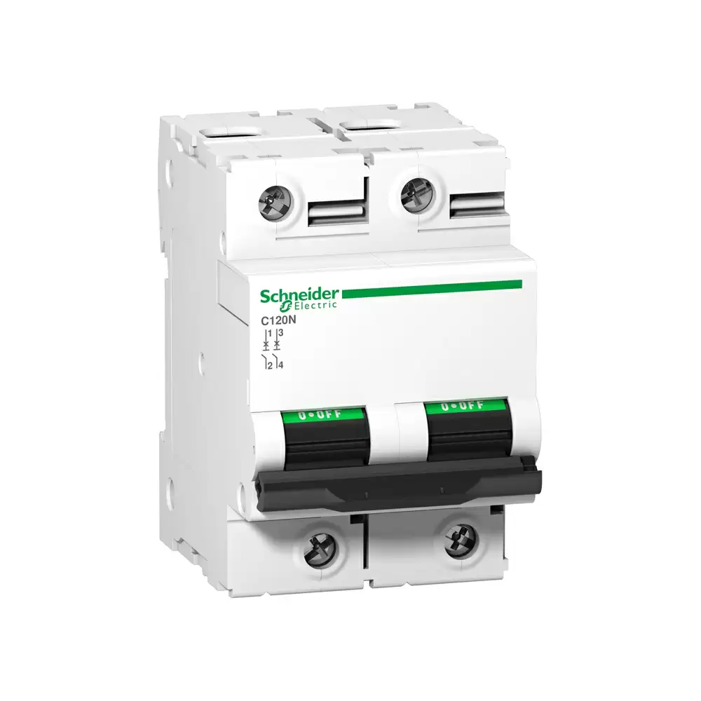 Schneider Electric Acti9 C120N 125 Amp D-Curve Double Pole MCB