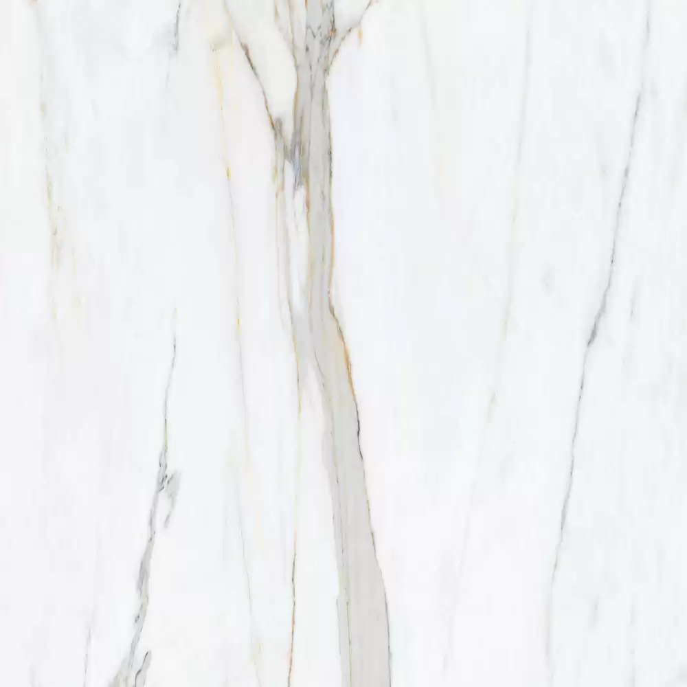 Kajaria Carrara Vitrified Tile - 600 x 1200 mm (Polished Finish)