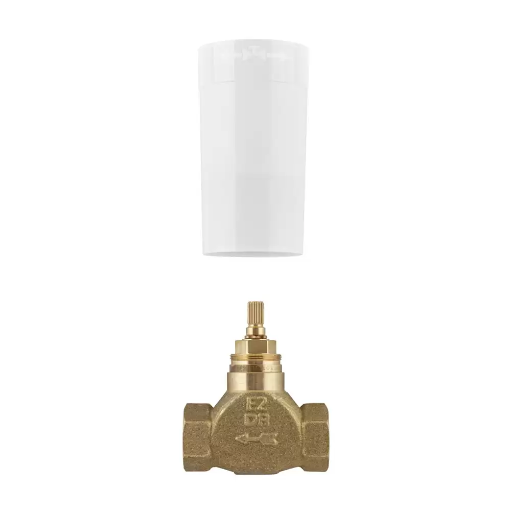 Grohe Brass Concealed Valve Body - Standard Size (Chrome Finish)