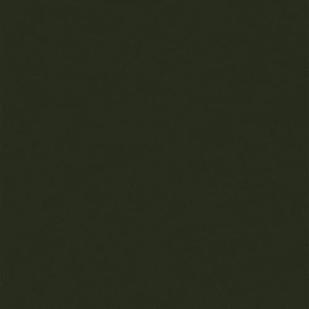 Manilam 9053 Solid Colour SF 0.8 mm Laminate (8 L x 4 W) Feet - (Serene Green)