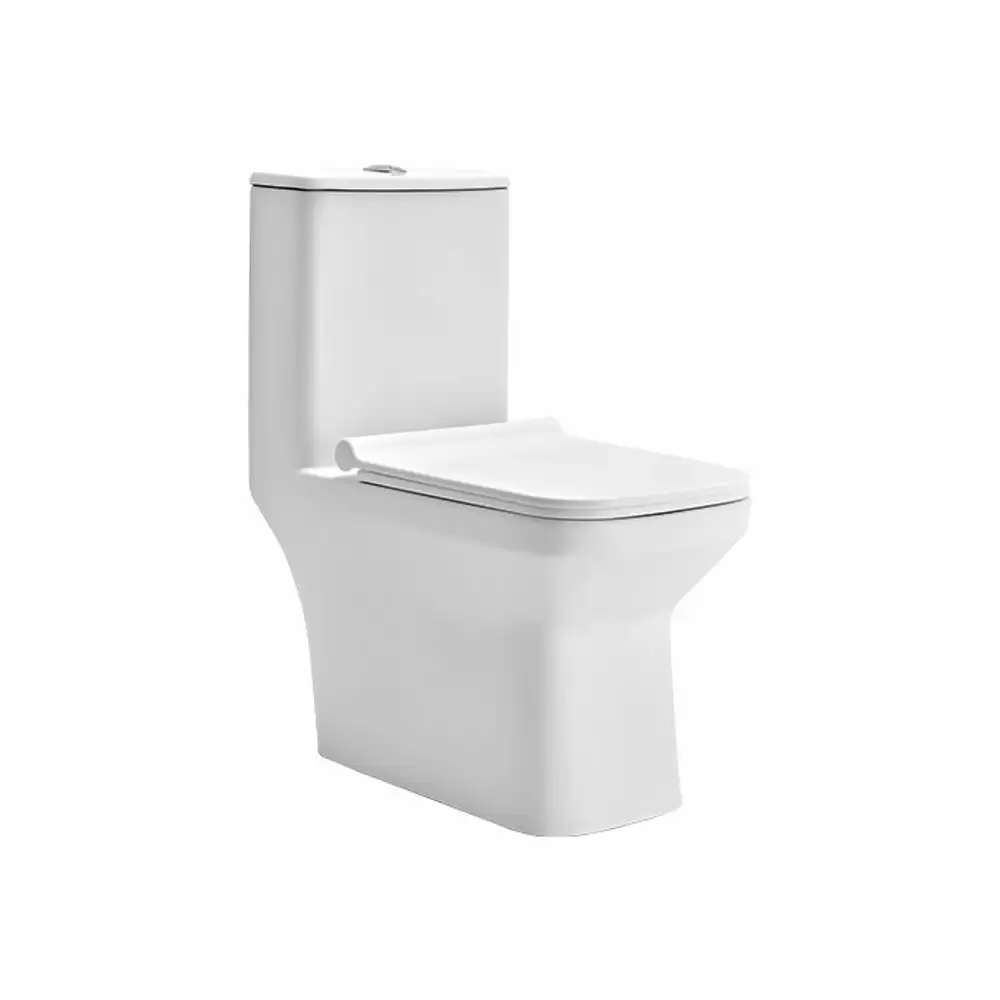 Cera Senator Tuscany Rimless One Piece WD 300 mm Commode with Duroplast Soft Close Seat Cover - Snow White