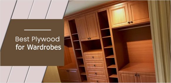 Which Plywood is The Best for Wardrobes in India | McCoy Mart