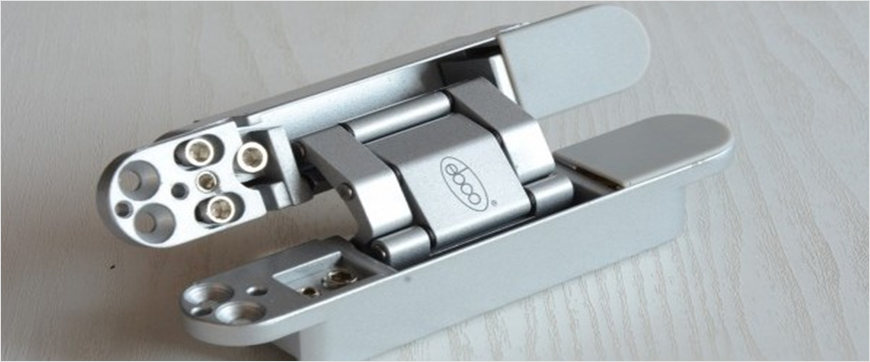 Concealed-Hinge