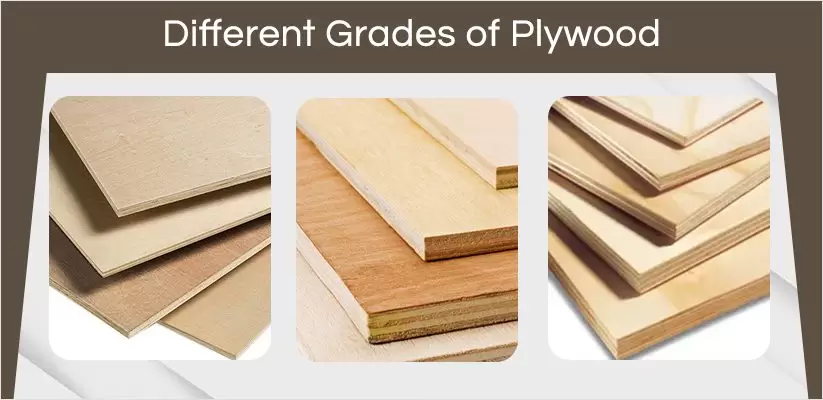 List Of Different Grades Of Plywood | Plywood Grades Options