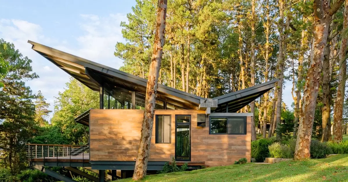 Butterfly Roofs