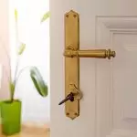 Designer Main Door Handle Designs in India | Latest Collection