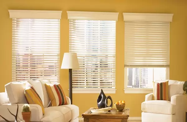 Blinds Window Treatment Ideas