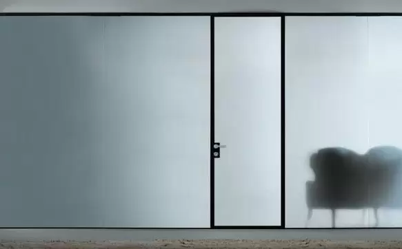 Frosted Glass: A Modern Solution for your Door Without Compromising Privacy