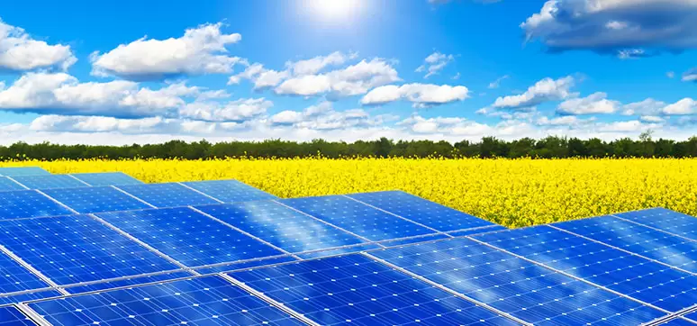 solar energy farms