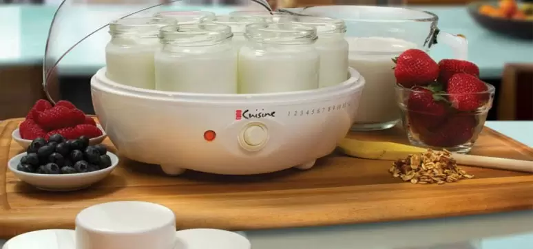 Euro cuisine yogurt maker