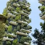 Why You Should Adopt Green Building Design