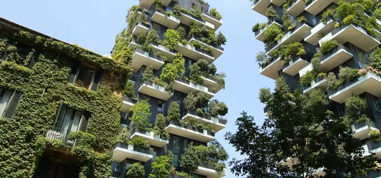 tree-architecture-plant-mansion-building-suburb-137240-pxhere.com