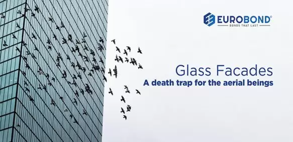 Glass Facades- A death trap for the aerial beings