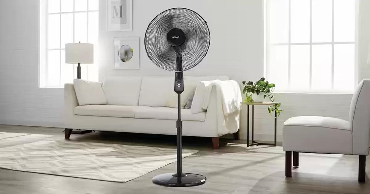 Pedestal Fans