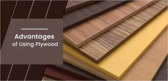 Advantages and Disadvantages of Using Plywood