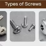 10 Different Types of Screws at a Glance