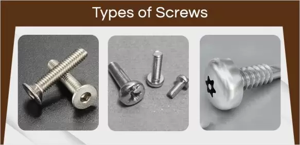 10 Different Types of Screws at a Glance