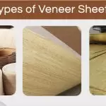 What are Veneer Sheets & Its Types