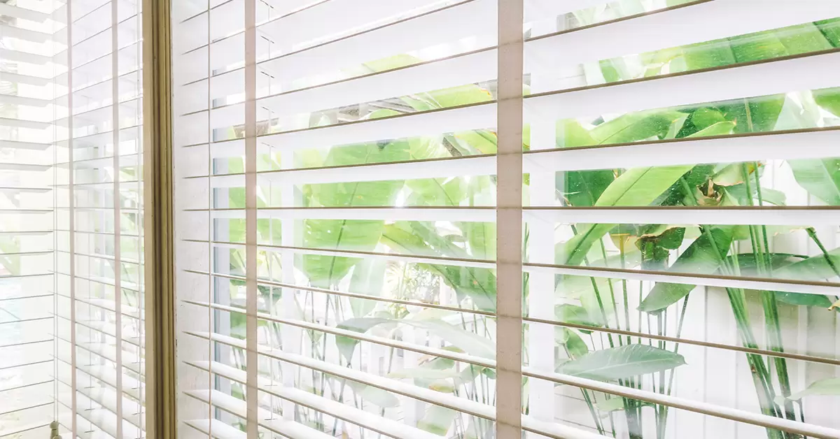 Cellular Window Blinds