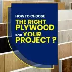 How To Choose The Right Plywood For Your Project?